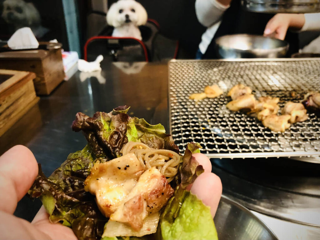 적상추 위에 놓인 막국수 면과 샘토 명물 닭갈비의 마카 소금구이 닭갈비 한 조각, 그리고 테이블 건너편에서 그것을 바라보고 있는 흰색 말티즈